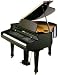 Kohler Digital KD160 Ebony High Polish