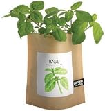Tools & Hardware : Garden In A Bag Herb - Basil