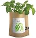 Outdoor Living : Garden In A Bag Herb - Basil