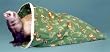 S.A.M. Ferret Crinkler Sac & Tunnel