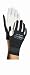 Suchen : Camaro Surf Glove Surfhandschuh
