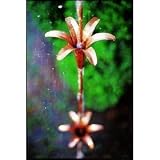 Handcrafted Lily Copper Rain Chain 10'