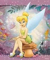 Royal Raschel Plush Disney Tinkerbell Perched Throw