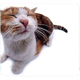 Allsop Pet Me Cat Mouse Pad - Mouse pad by Allsop
