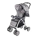 Combi Torino DX Full-Sized Lightweight Stroller in Ember