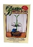Pet Supplies : BAMBOO BETTA KIT 1 QT.