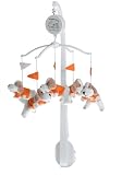 Mascot Mobile - University of Tennessee