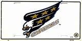 LP - 773 Washington Capitals License Plate - 280