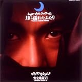 月に濡れたふたり-安全地帯VI ふたりエッチ