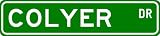 COLYER Street Sign ~ Personalized Family Lastname Sign ~ Gameroom, Basement, Garage Sign **