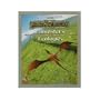 Elminster's Ecologies (AD&D 2nd Ed Fantasy Roleplaying, Forgotten Realms)