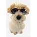 Doggles-ILS - Black Frame/Smoke Lenses - Small
