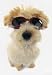 Doggles-ILS - Black Frame/Smoke Lenses - Small