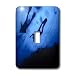 Kike Calvo Underwater Life - scuba diving in the great reef barrier in Queensland, Australia - Light Switch Covers - single toggle switch