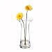 LEONARDO 30728 Vase 29 Fluent