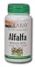 Alfalfa