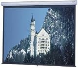 Model C Manual Screen Matte White 100IN Diag 60IN X 80IN
