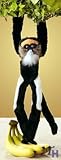  : Wild Republic Hanging Debrazzas Monkey 17