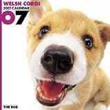 THE DOG ウェルシュ・コーギー 2007年 カレンダー