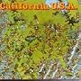 California Usa