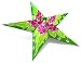 Search : green flower star lantern - 24