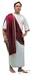 Adult Caesar The Great Halloween Costume