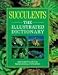 Succulents: The Illustrated Dictionary width=