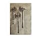 Medieval battle axe french gothic pick axe double sided axe