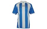 Produkt-Bild: DIADORA Coleraine Jersey / Trikot