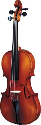Strunal 260 Series Violin Outfit 1/4 Outfit