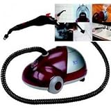 Steam Cleaner (Purple/Silver) (17.52