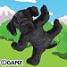 Webkinz Black Lab Dog