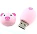 Aretop Flash Drive Cute 8GB, USB 2.0 Cute USB Memory Stick Pendrive for Computer 8GB Thumb Drive USB Jump Drive Gift for Girls Kids Present