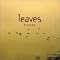 Albums to Make You Feel Good!