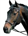 Raised Cavesson Bridle with Reins-Brown- Full