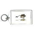 Keychain with kangaroo, rat