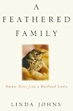 A Feathered Family: Nature Notes from a Woodland Studio