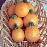 Outdoor Living : Courgette F1 One Ball Seeds (1 Pkt - 20 seeds)