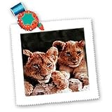 Wild animals - African Lion Cubs - Quilt Squares