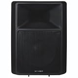 Sp150 300-watt, 2-way Speaker With 12 Woofer