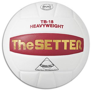 Tachikara The Setter Volleyball