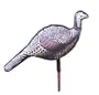 HEN TURKEY DECOY INFLATABLE