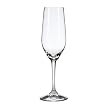 Riedel Vivant Champagne Flutes Set of 4