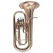 Model 3171 Euphonium 3171 Lacquer