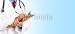Wallmonkeys Peel and Stick Wall Decals - Medical Doctor - Removable Graphic