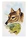 Tasmanian Wolf or Tiger (Thylacinus Cynocephalus) Art Giclee Poster Print by Henry Co...