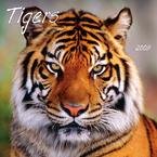 Tigers 2009 Wall Calendar