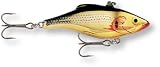 Rapala Rattlin 05 Fishing Lures (Silver Gold, Size- 2)