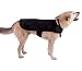 Sporting Goods : Liberty - Canine Cover-Up M