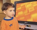 Child Proof TV Guard for Flat Screens